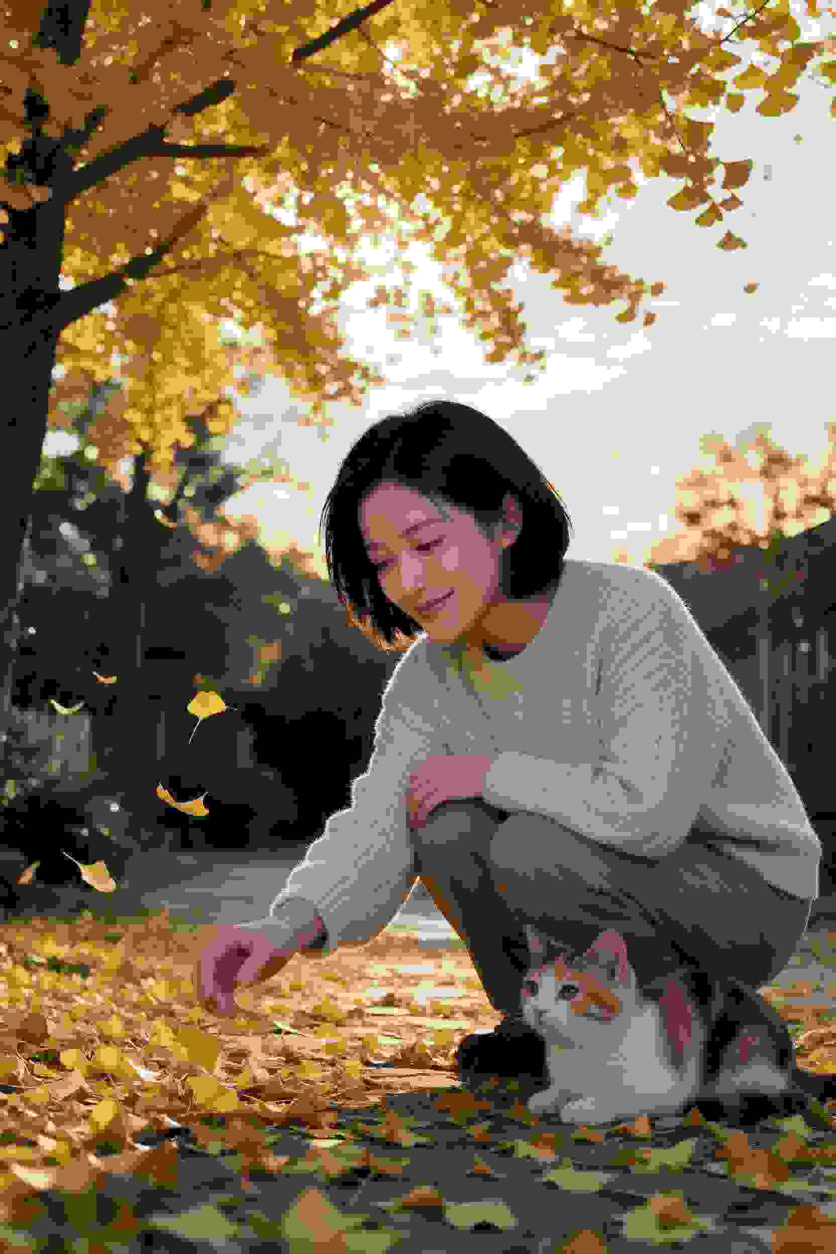 言情小说